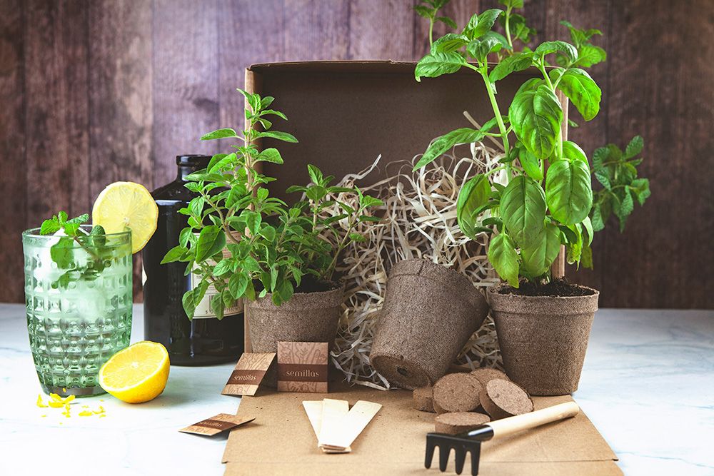 kit-037-Premium-del-Bar-ambientada