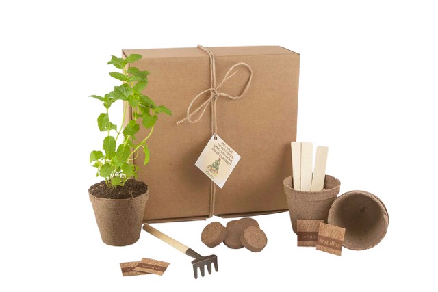 kit-037-Premium-del-Bar