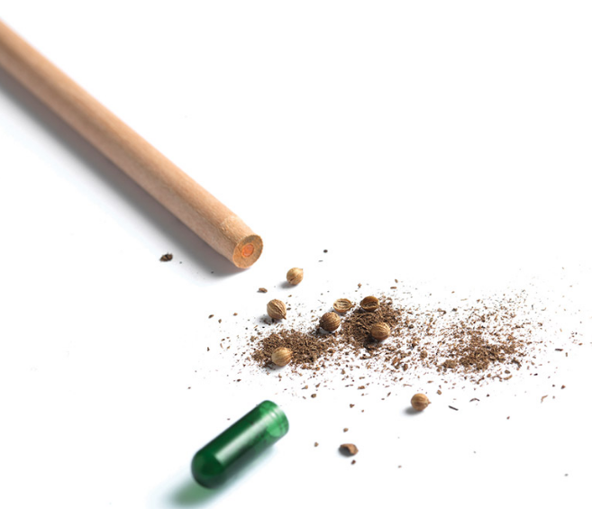 kit-040-lapiz-plantable-1