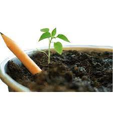 kit-040-lapiz-plantable-2