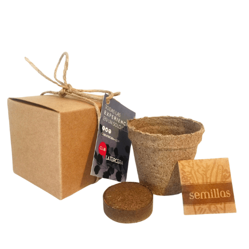 KIT-023-Mini-garden-eco